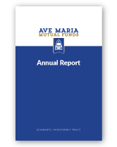 2020 Annual Report